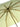 Little Surprise Box Premium 3 fold Auto Closure umbrella for Adults - LSB - UM - 3F - OLIVE - GOLD