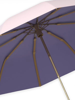 Little Surprise Box Premium 3 fold Auto Closure umbrella for Adults - LSB - UM - 3F - PURP - GOLD