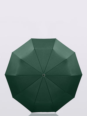 LITTLE SURPRISE BOX-Umbrella-Little Surprise Box Premium Convenient U handle Grip 3 fold Auto Closure umbrella for Adults