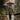 Little Surprise Box Print Umbrella for Kids | The Mom Store - OFFROAD Kids Umbrella