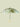 Little Surprise Box, Printed Big Size Umbrella for Adults - LSB - UM - OLIVE - SCRIPT
