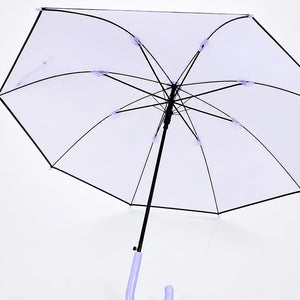 Little Surprise Box Purple Solid Border Umbrella | The Mom Store - Monsoon Wear