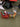 Little Surprise Box Santa Sleigh rotating Christmas Tree animated Topper - Christmas Decor