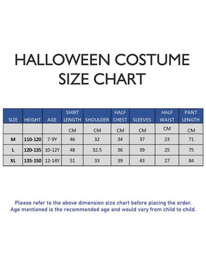 Little Surprise Box, The Royal Warrior, Kids Halloween Costume Fancy Dress Up - LSB - HWC - ROYALWAROR - 7 - 9Y