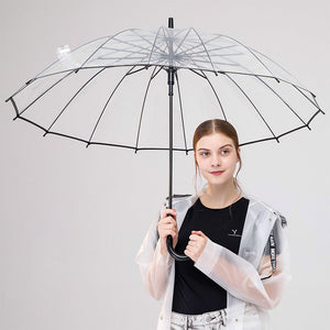 Little Surprise Box Transparent Umbrella | The Mom Store - Umbrella