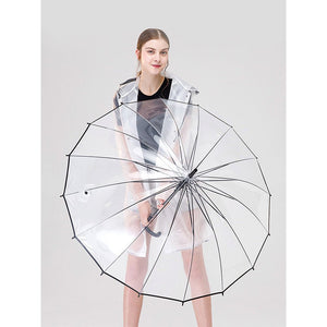 Little Surprise Box Transparent Umbrella | The Mom Store - Umbrella