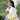 Little Surprise Box White & Pastel Yellow Star Print, Ear Detail School Backpack for Kids - School Bag