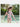Little Surprise Box,Frilly Happy Cactus Print Toddlers & Kids Swimwear +Swim Cap - Kids Swimwear