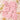 #color_peach