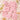 #color_peach