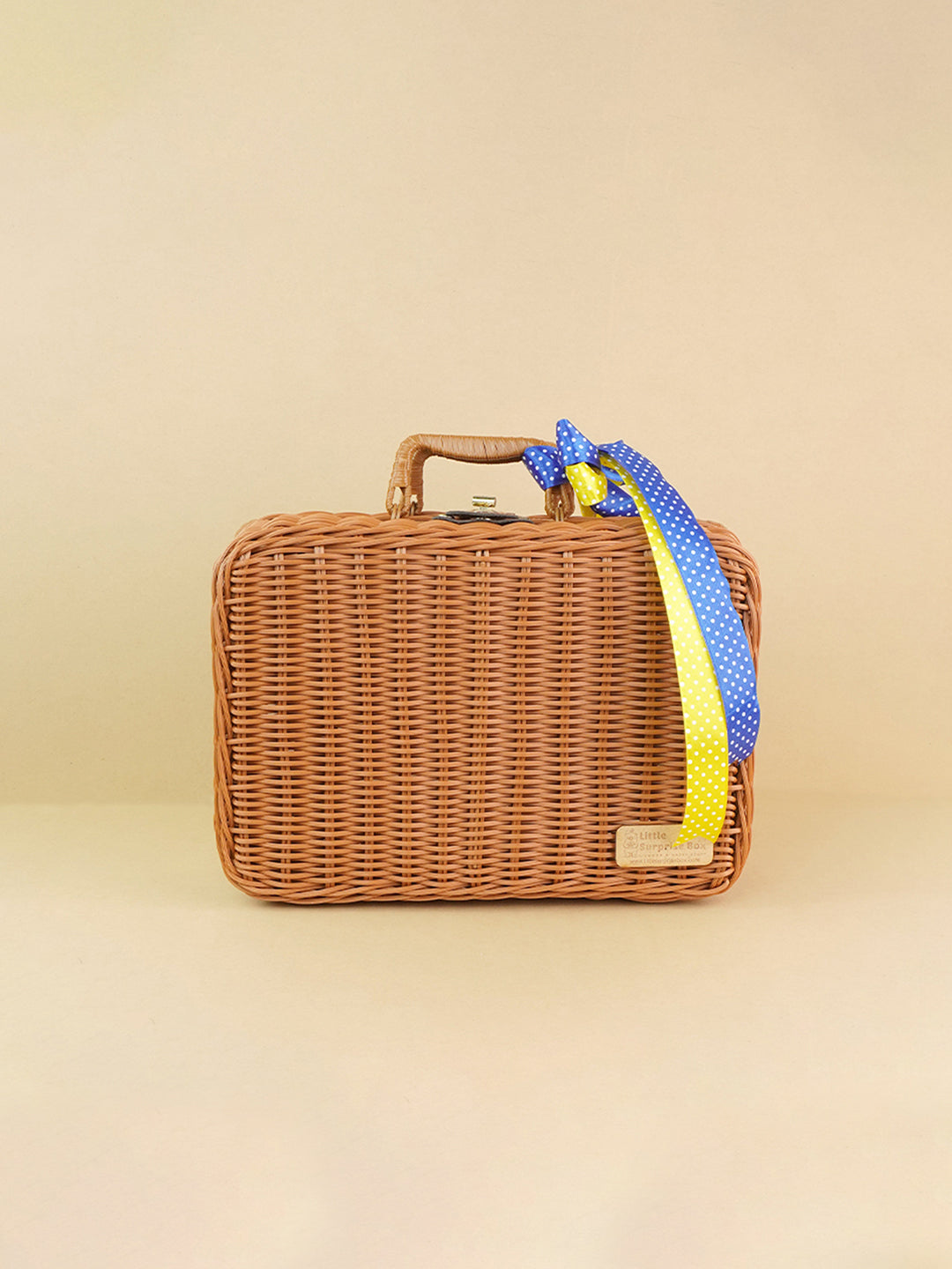 Little Surprise Box Cane Basket for Storage and Travel