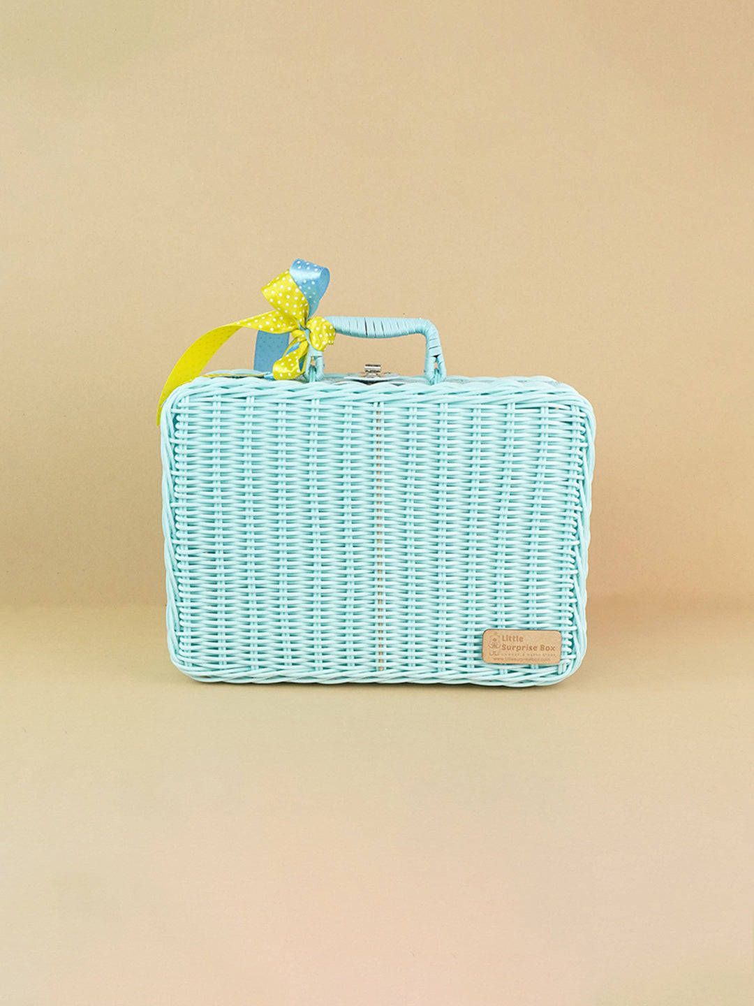 Little Surprise Box Cane Basket for Storage and Travel