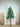 Little Surprise Box, 5.8 feet Wooden Bark Christmas Tree Christmas Décor