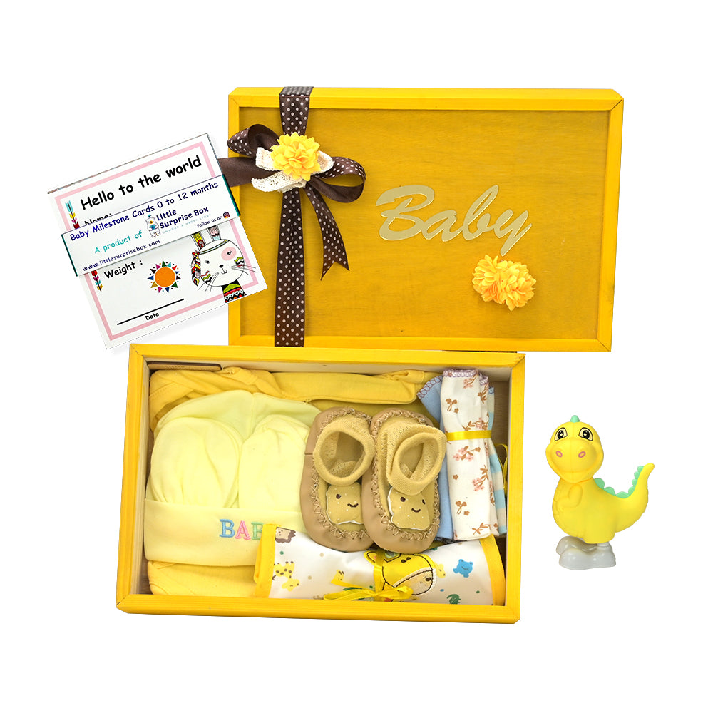 Little Surprise Box- Newborn Baby Hamper Gift Set