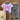 Magical Unicorn soft Cotton Joggers Nightsuit set for Kids - 2 - 3 Years Nightsuits