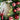 Maroon Reindeer Artifical Wreath for Wall,Door and Tree Décor - Little Surprise BoxMaroon Reindeer Artifical Wreath for Wall,Door and Tree Décor