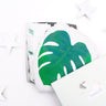 Masilo Cuddle & Bundle Box - Tropical Vibes Only Gift Set
