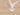 Mastela Aero Zenith Bassinet 0-36M | The Mom Store - Beige Bassinet