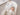 Mastela Infin iOrbit Cradle 0-24M | The Mom Store - Bronze Cradle