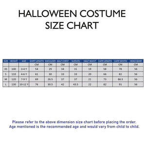 Medieval King costume,Kids Halloween Costume Fancy Dress Up - 3 - 4 Years Halloween