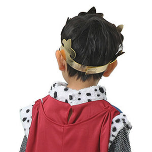 Medieval King costume,Kids Halloween Costume Fancy Dress Up - 3 - 4 Years Halloween