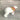 Medium Snow Polar Bear, Christmas winterland Décor and Christmas Decoration - 