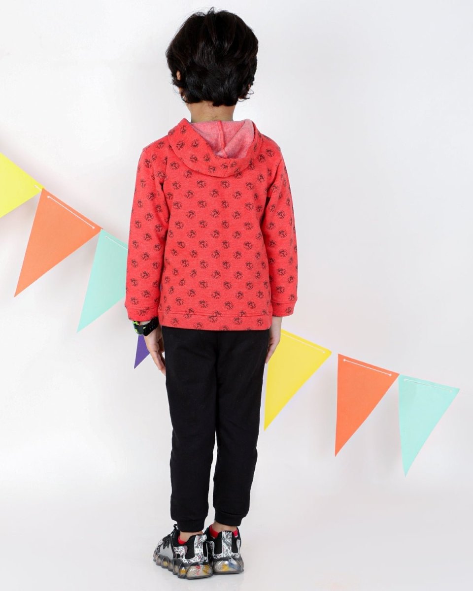 Mighty Lion Hooded Sweatshirt - KS-RLPH-1-2