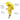 Mr. Extinct Horn Raincoat, Umbrella & Boots matching Rainwear set for Kids - 