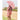 Ms. Isabel Andrew Raincoat, Umbrella & Boots matching Rainwear set for Kids - 