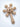 Mulberro Beige Star 2-in-1 Baby Teether & Rattle | 6 Multi-Texture Surfaces | 0M+