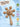 Mulberro Beige Star 2-in-1 Baby Teether & Rattle | 6 Multi-Texture Surfaces | 0M+