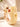 Mulberro Cute Bear Kids Water Bottle — 630ml | Flip Lid, Straw & Crossbody Strap - Water Bottle