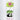 Mulberro Cute Panda Kids Glass Water Bottle — 500ml | One-Click Flip Lid & Straw - Water Bottle