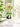 Mulberro Cute Panda Kids Glass Water Bottle — 500ml | One-Click Flip Lid & Straw - Water Bottle