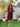 Mumma Oversized Maternity T Shirt Dress - NW-SC-MUMOT-S