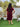 Mumma Oversized Maternity T Shirt Dress - NW-SC-MUMOT-S