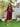 Mumma Oversized Maternity T Shirt Dress - NW-SC-MUMOT-S