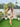 Mushroom Risotto Co-ord Set - Free-size Women's Co ord Set