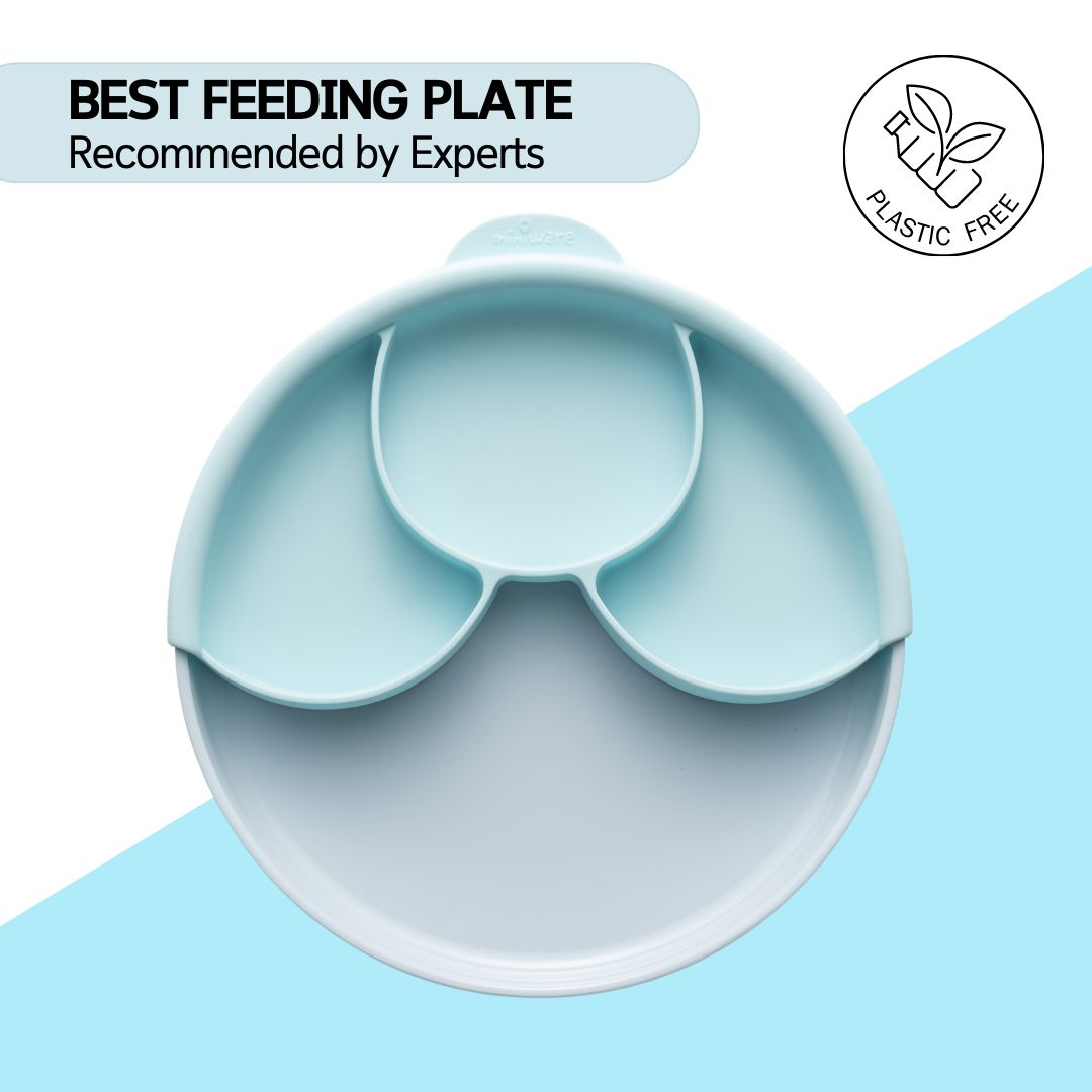 Healthy Meal Suction Plate Set - Aqua