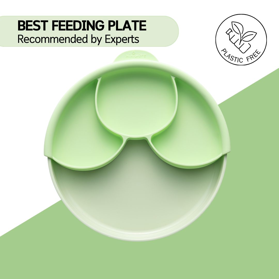 Healthy Meal Suction Plate Set - Key Lime