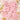 Newborn Baby Boy/Baby Girl 22pcs Gift Box, Peach (0 - 12 Months) - Baby Gifting