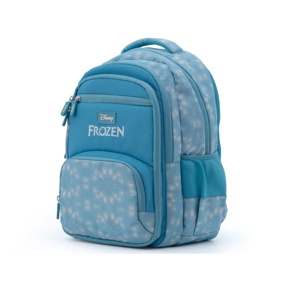 Novex Snug - On Frozen Printed Girl Kids School Bag for 4th Class to 6th Class - 17 Inch | Backpack for 10 - 12 Years Kids - SNBPFR0744 - FROZEN