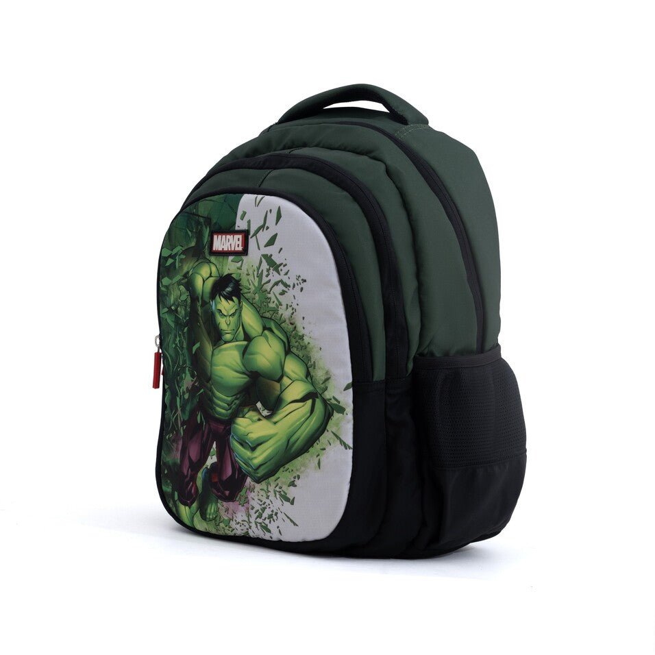 Novex Snug - On Hulk Printed Boy Kids School Bag for 4th Class to 6th Class - 17 Inch | Backpack for 10 - 12 Years Kids - SNBPHU0733 - HULK