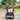 Nuluv Stroller- Cot Toy- Soft toy - NU-I-0013