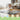 Nuluv Tots Trail Soft Foam Mat With Fence | The Mom Store - Baby Playmat