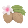 Oli & Carol Aly The Almond Natural Rubber Teether - L_ALMOND
