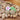 Oli & Carol Aly The Almond Natural Rubber Teether - L_ALMOND