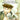 Om Books International Children Classics - The Case Book of Sherlock Homes - 9789386410016