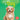 Om Books International Dog : Its Me Dog ( Animal Encyclopedia) - 9789386410450