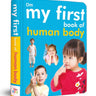 Om Books International My First Book of Human Body - 9789384119157